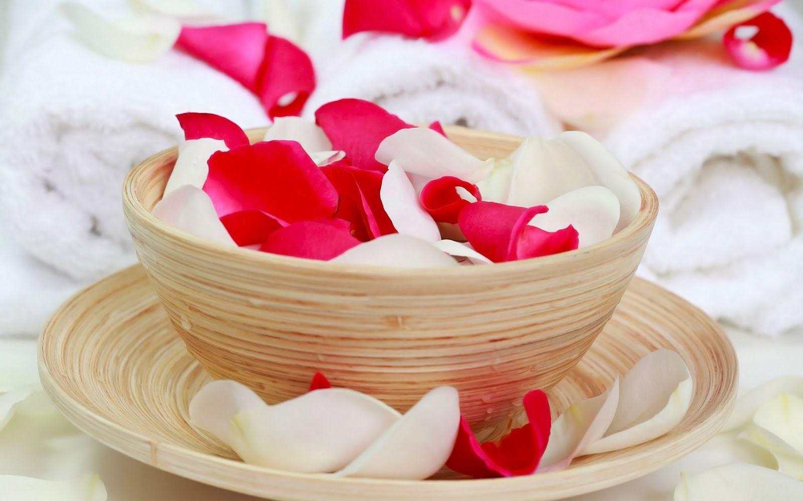 Ravishing Red White Rose Petals Desktop Wallpaper