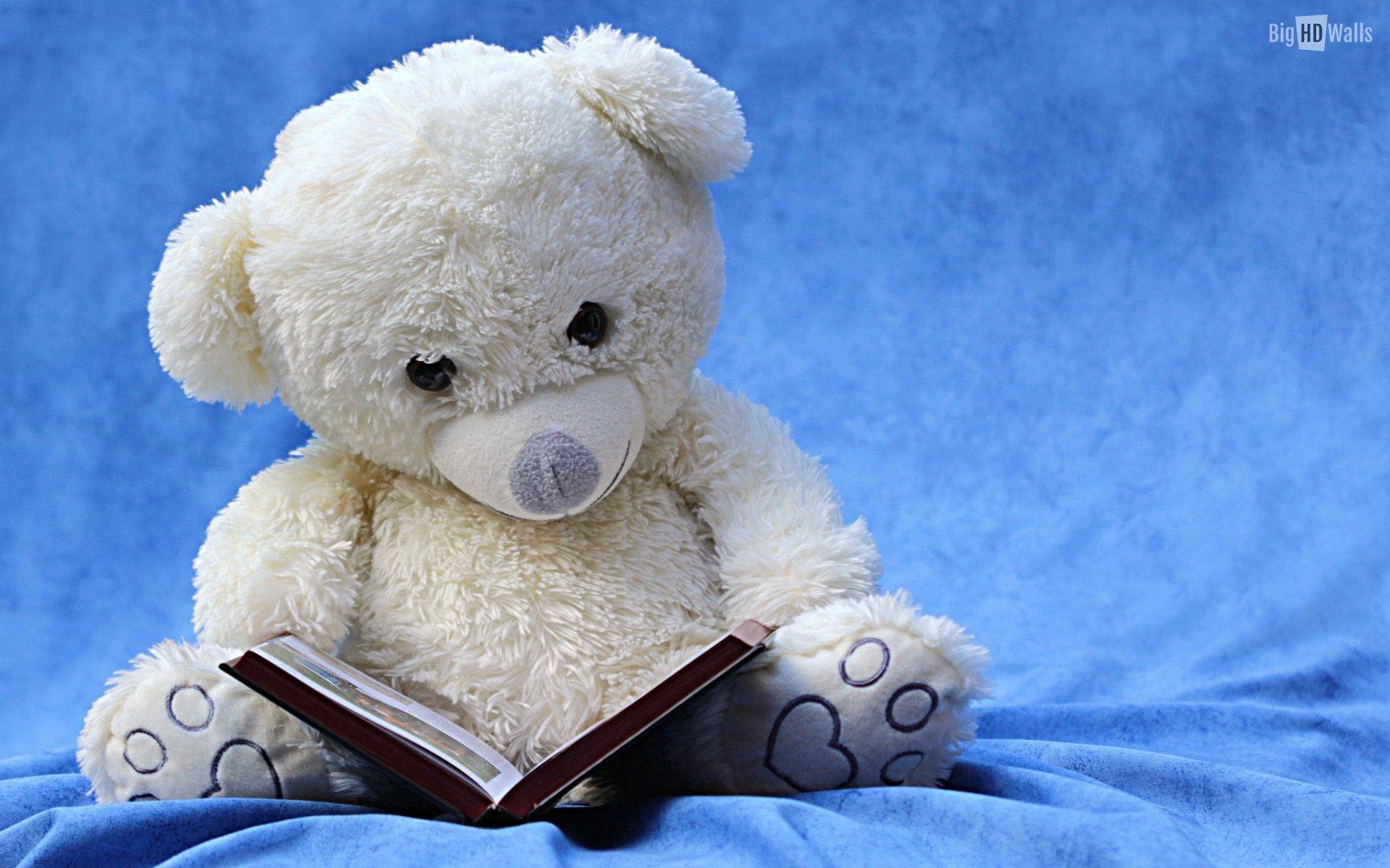 Cute Teddy Bear Pics