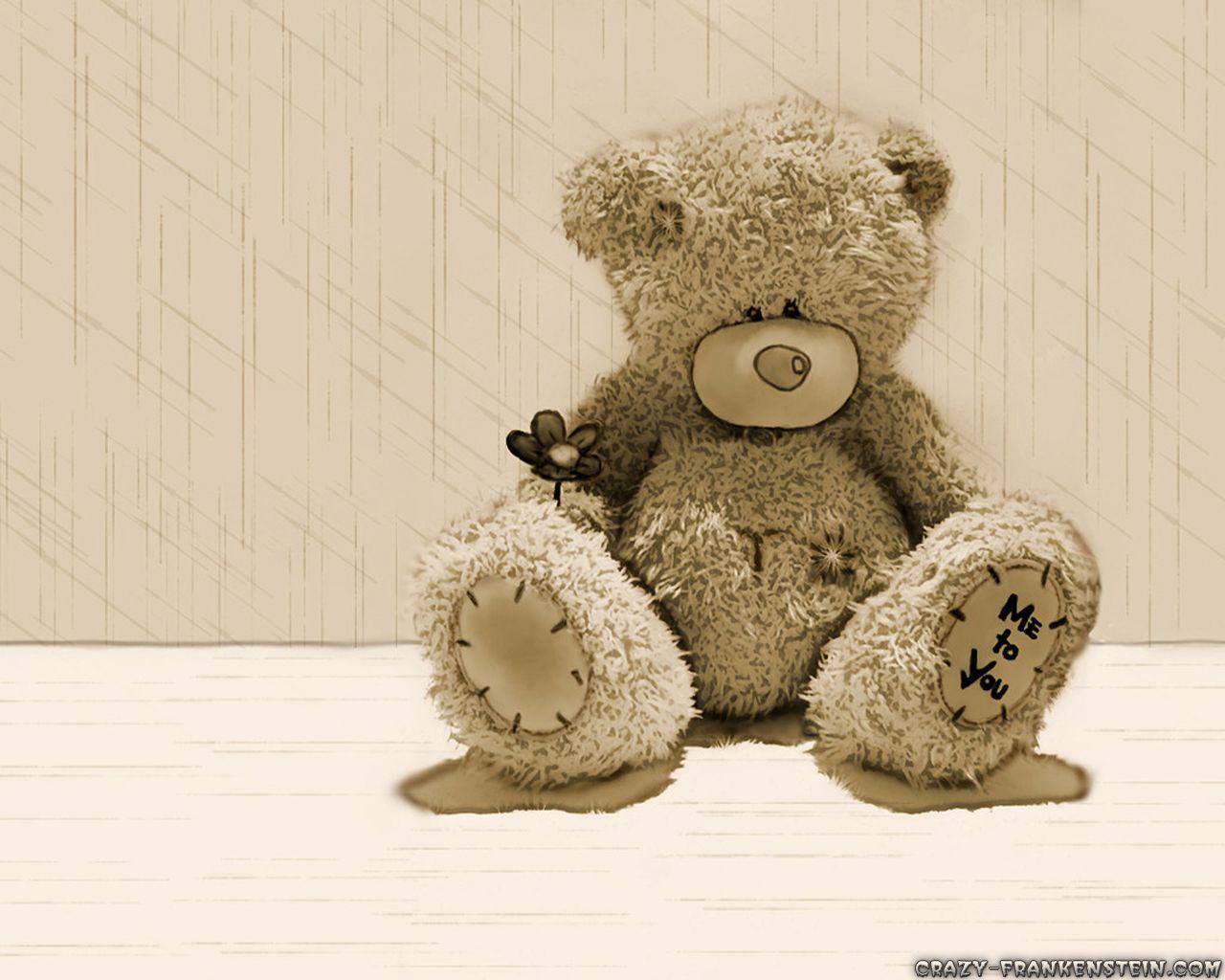 I m teddy bear
