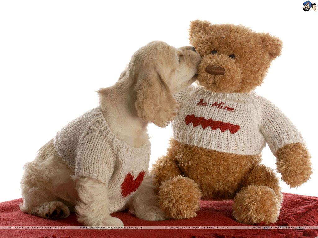 Free Download Teddy Bear Day HD Wallpaper