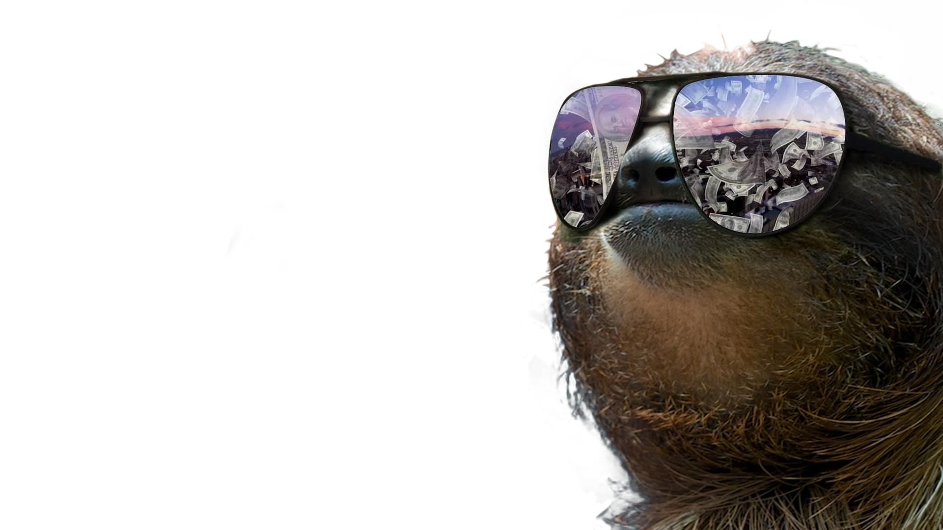 Quality sloth wallpaper