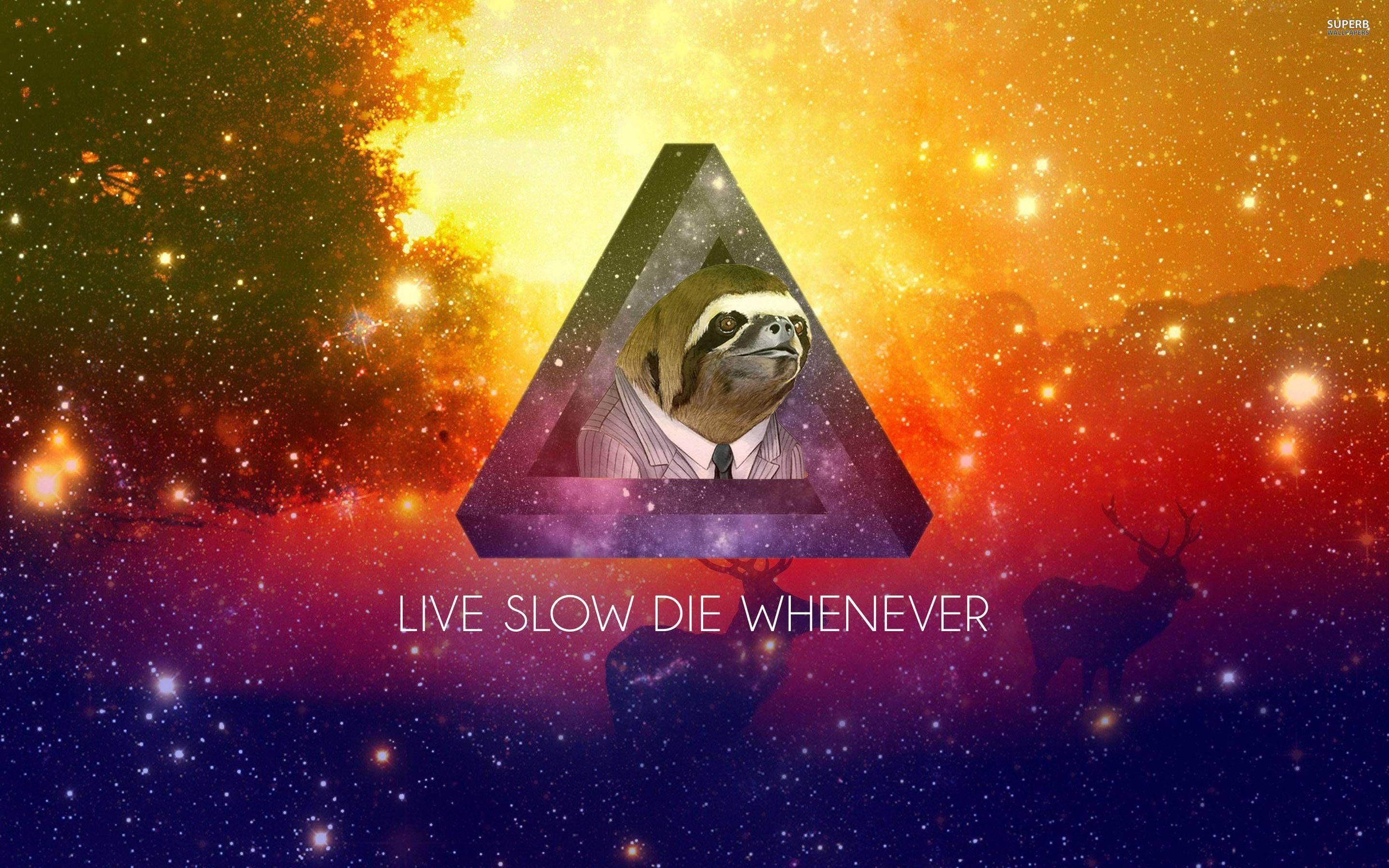 Sloth Wallpaper. Beautiful Wallpaper