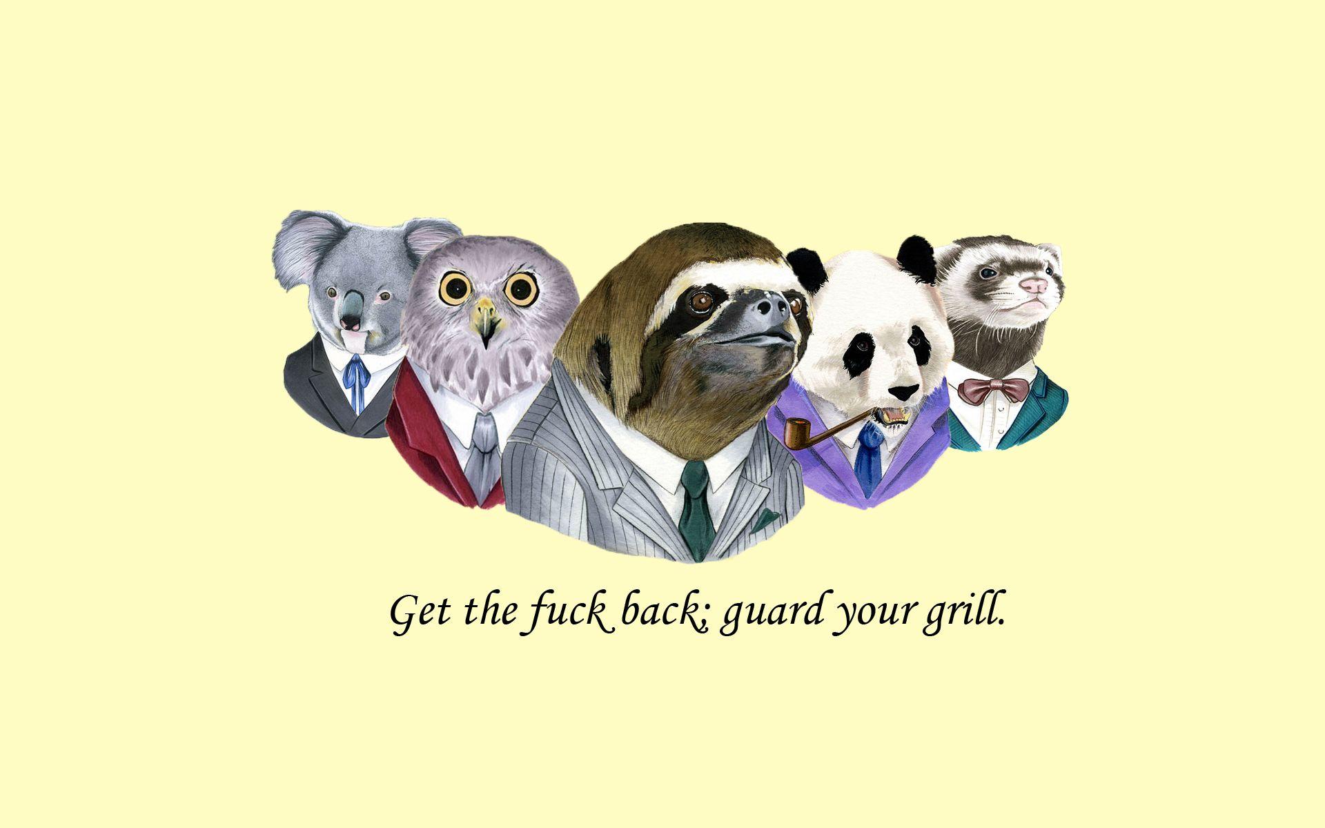 Sloth Suit WTF Fuck Owl Koala Panda Weasel wallpaperx1200