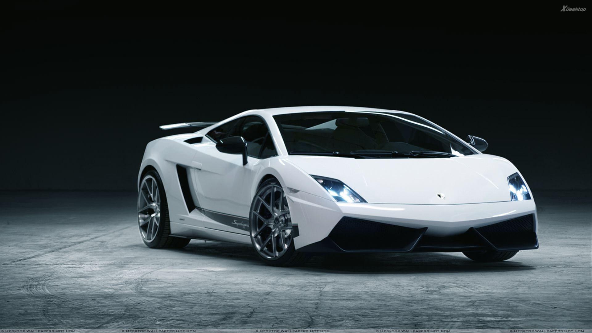 White Lamborghini Gallardo Wallpaper Page