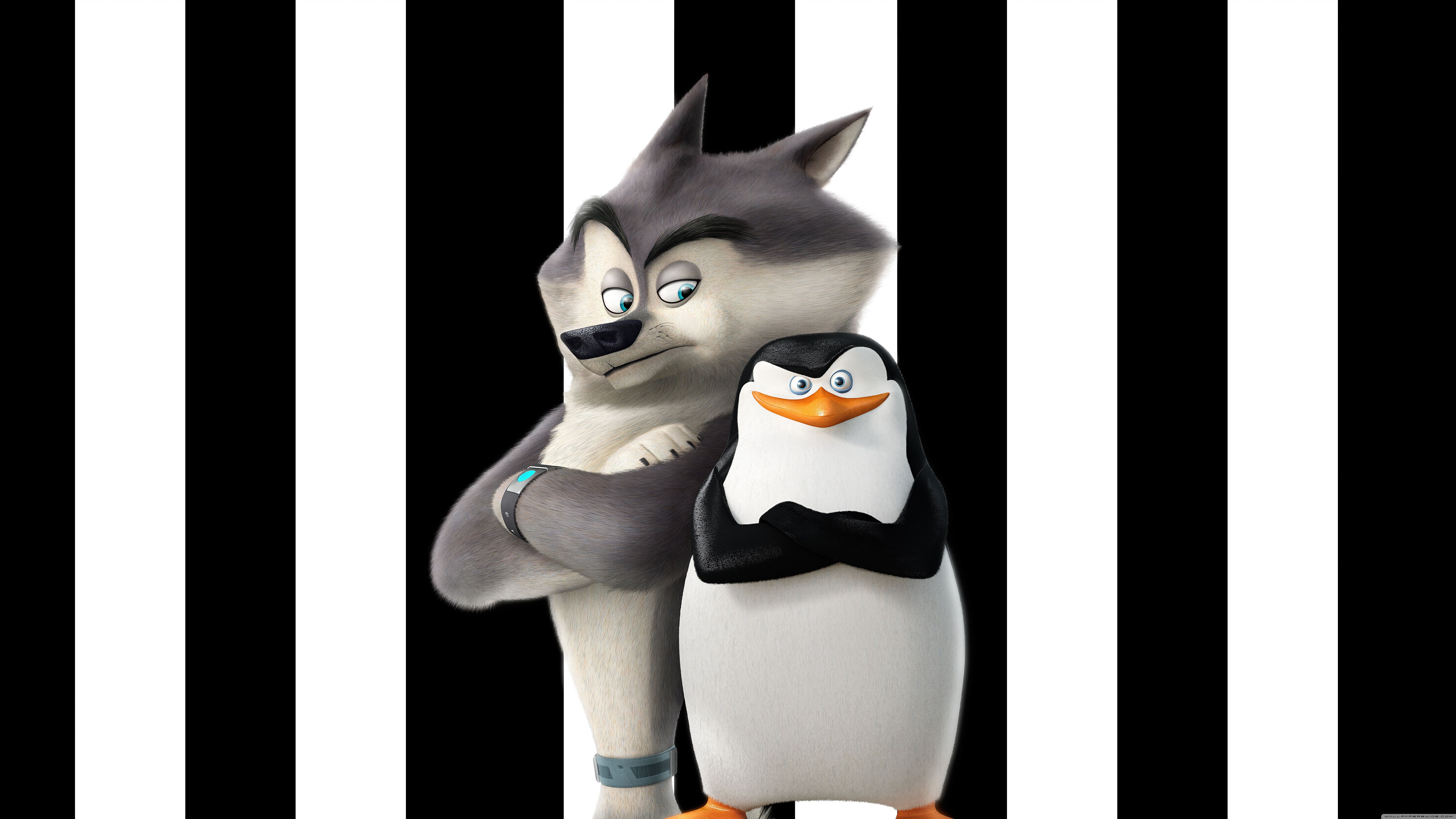 Penguins of Madagascar Skipper and Classified ❤ 4K HD Desktop