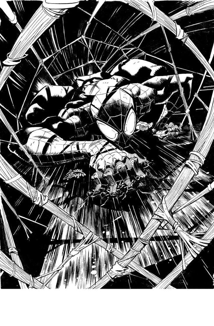 Best Spider Man Image. Spiders, Marvel Comics
