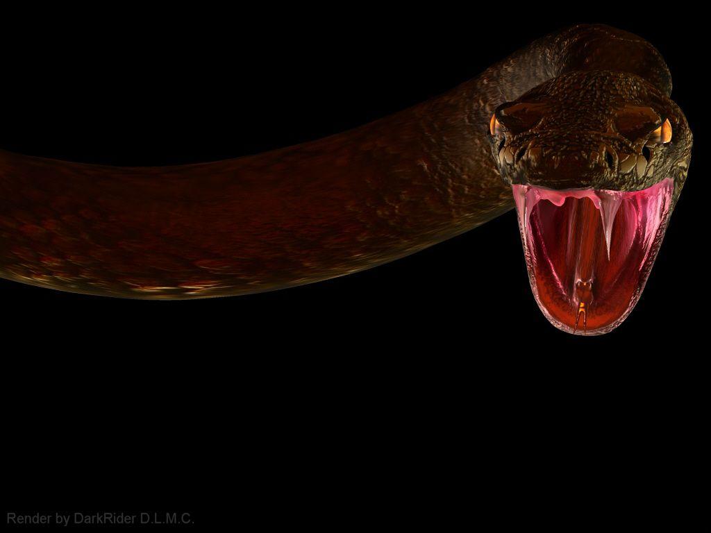 Snake Horror Wallpaper, HD Quality Snake Horror Image, Snake