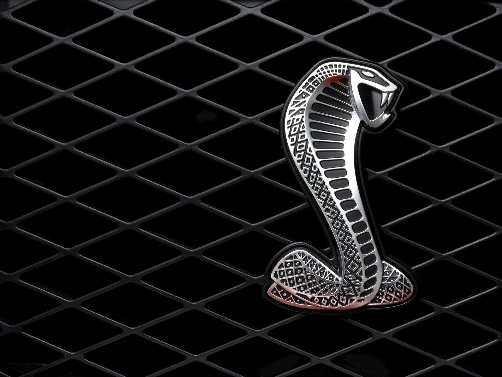 Viper Snake Wallpaper Wallpaper. HD Wallpaper. Snake