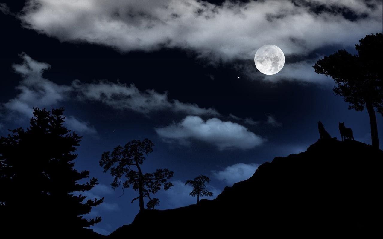 Sky Wolf Stars Mountains Wolves Night Moon Trees Clouds Background