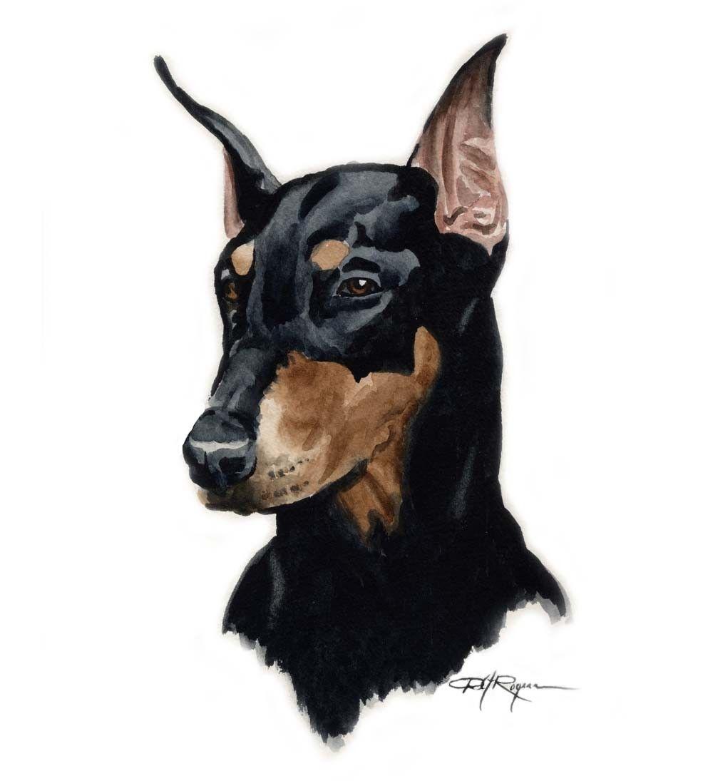 Drawn Doberman Pinscher dog photo and wallpaper. Beautiful Drawn