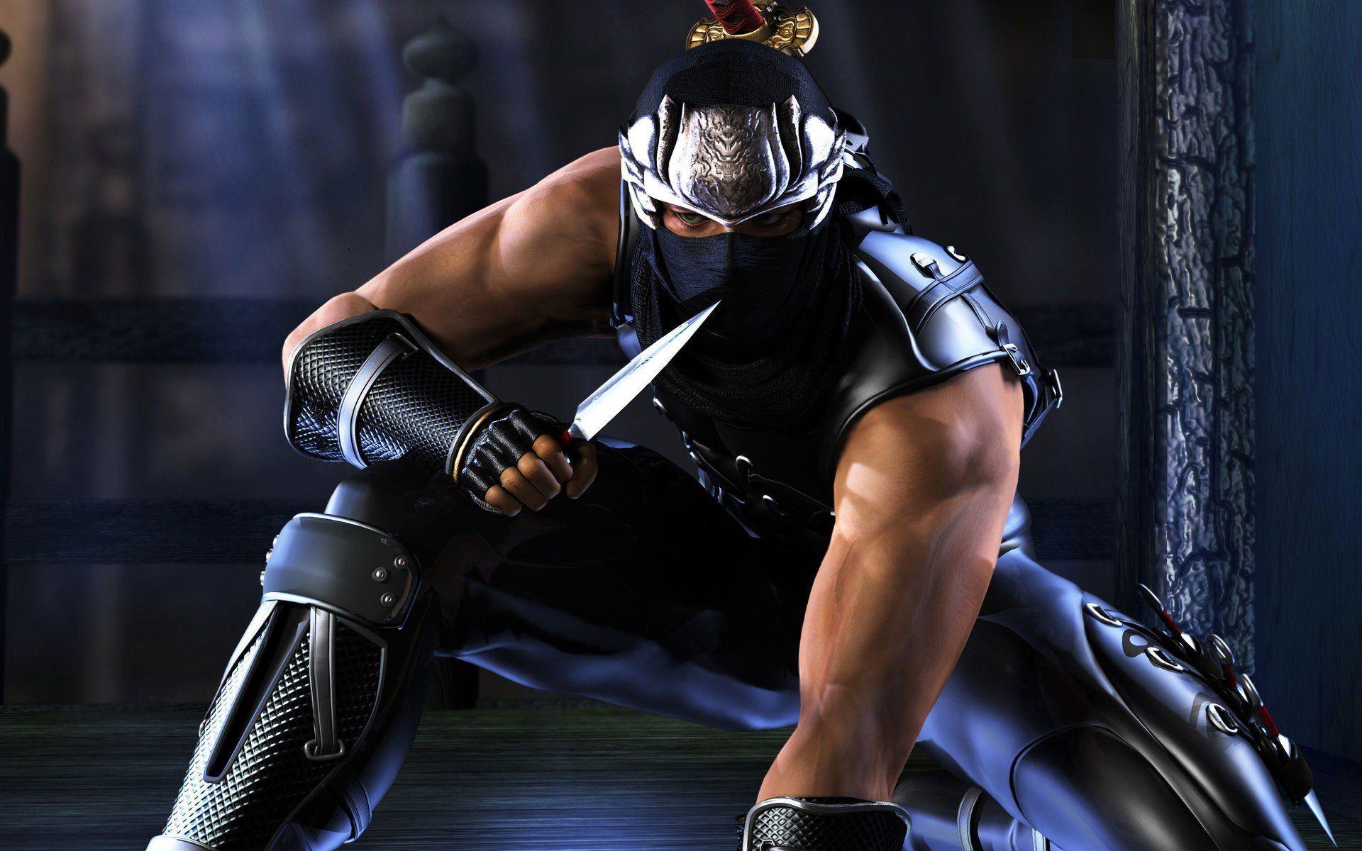 Ryu Hayabusa Ninja Gaiden wallpaper