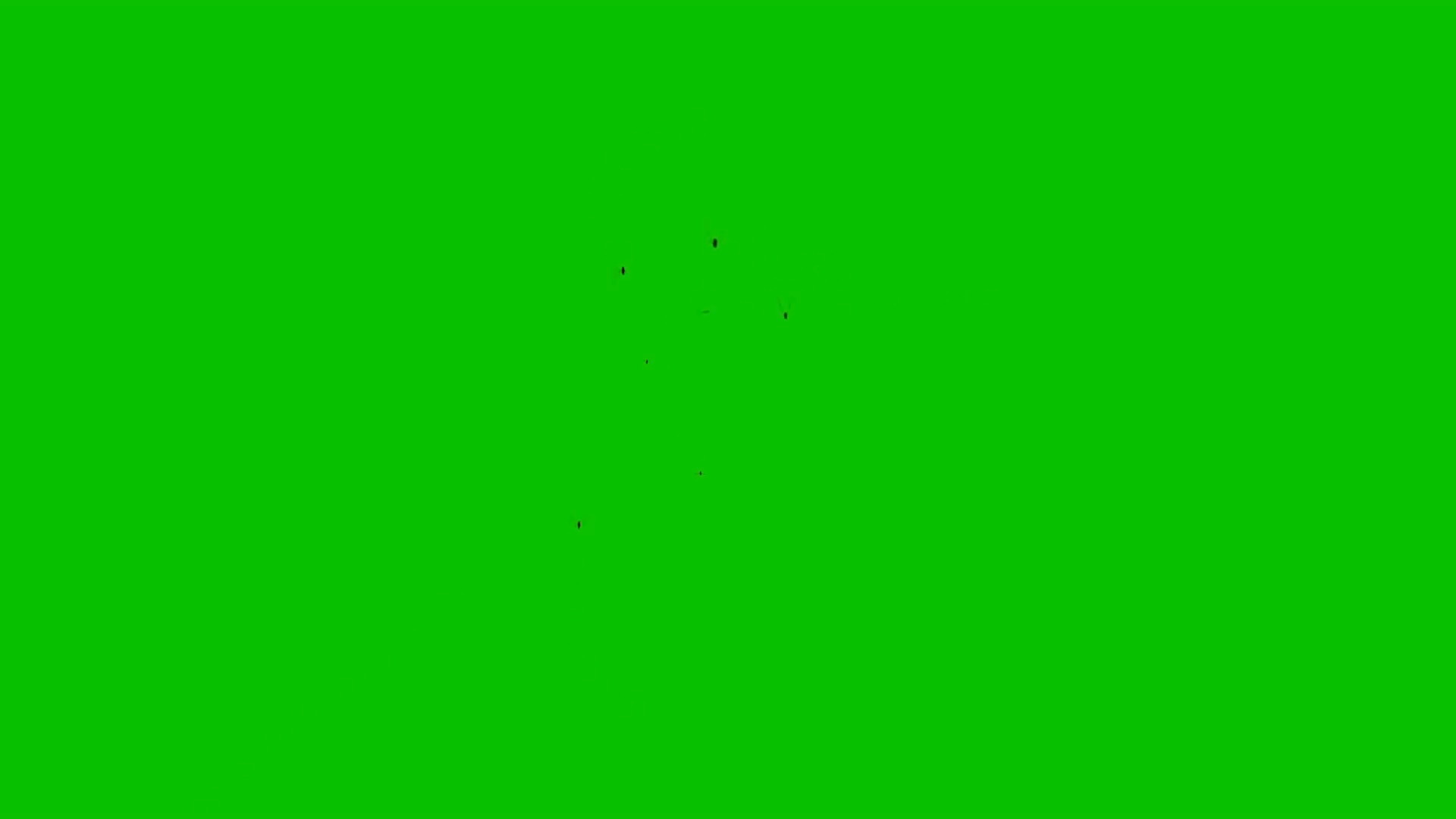 Swarm of Mosquitoes / Flies / Bees / Insects on a Green Screen