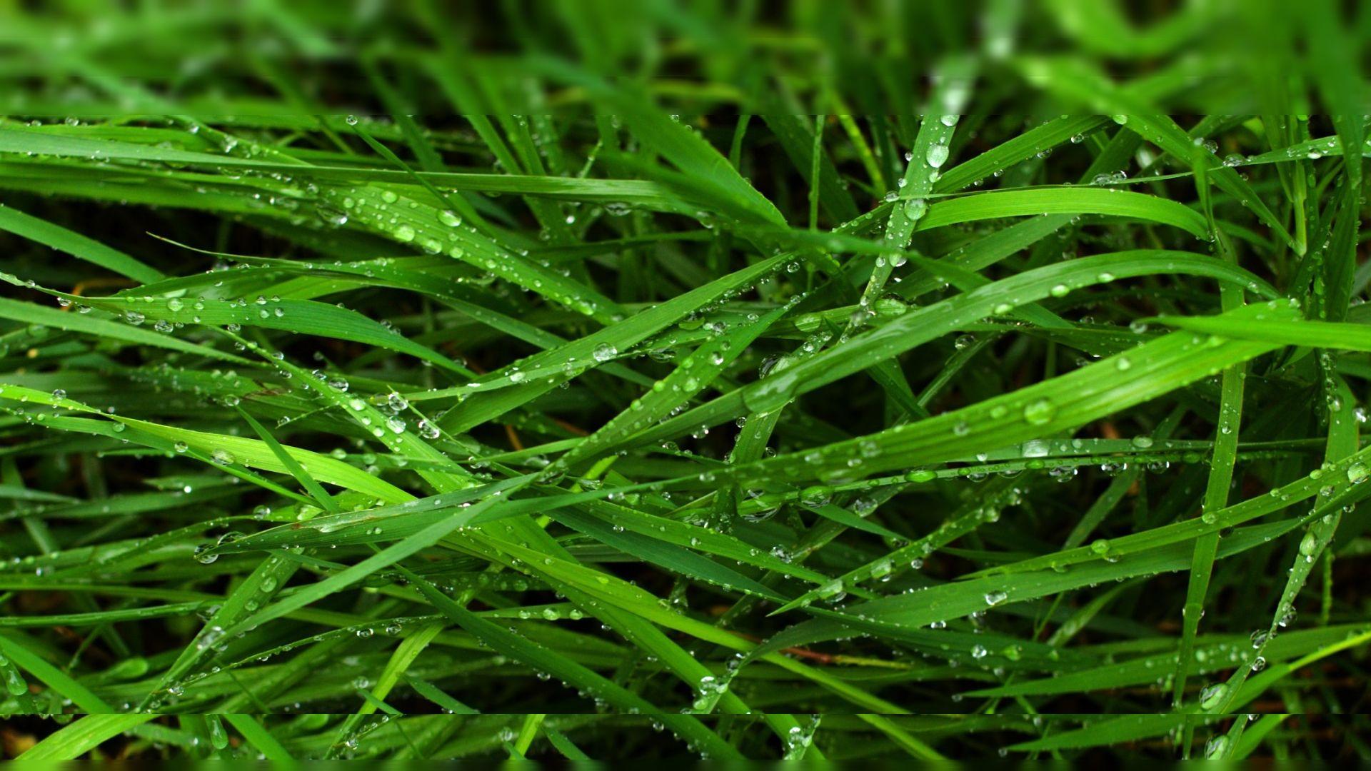 Hi Res Wallpaper 1920x1080