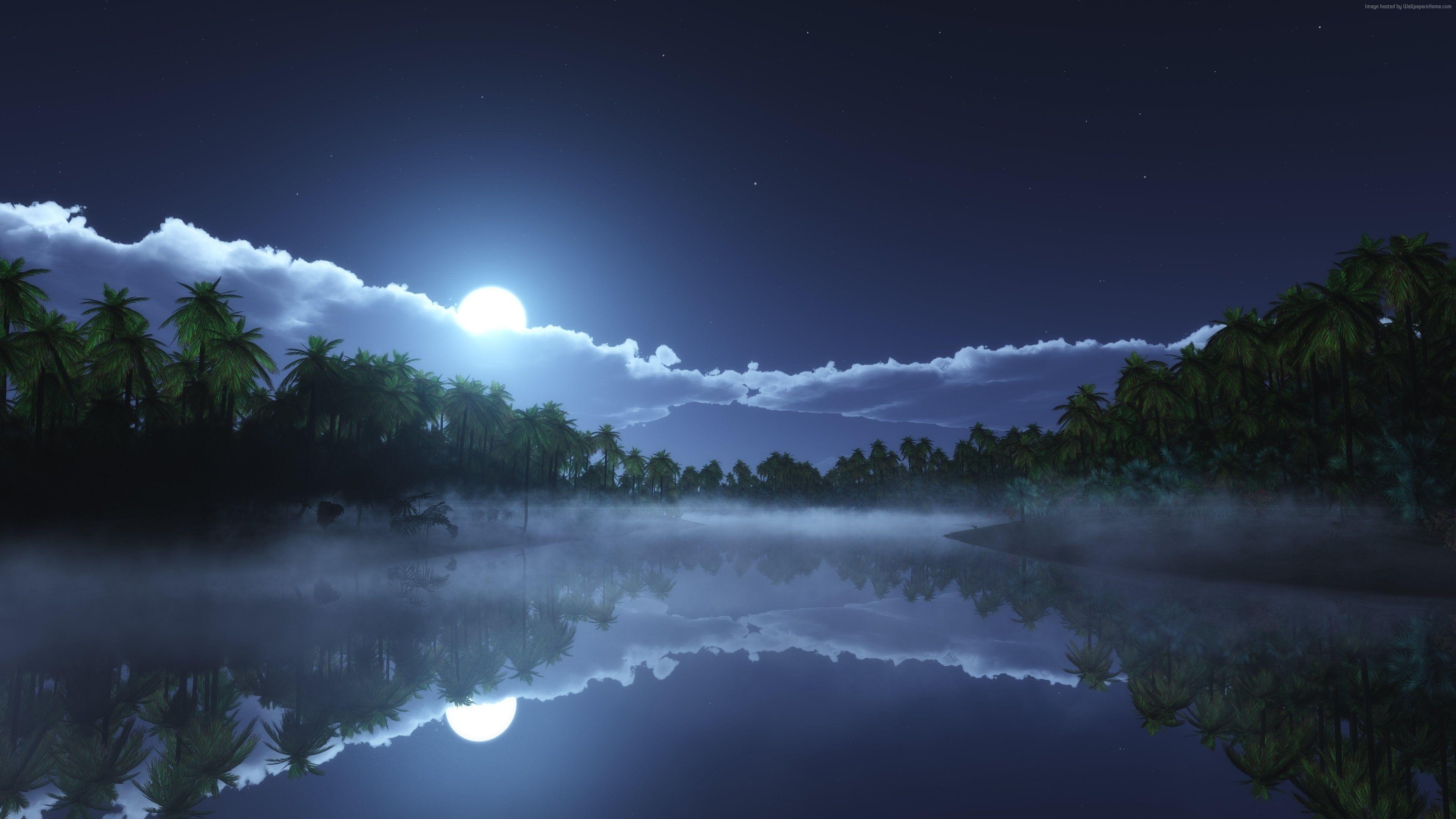 Wallpaper River, 4k, HD wallpaper, sea, palms, night, moon, clouds
