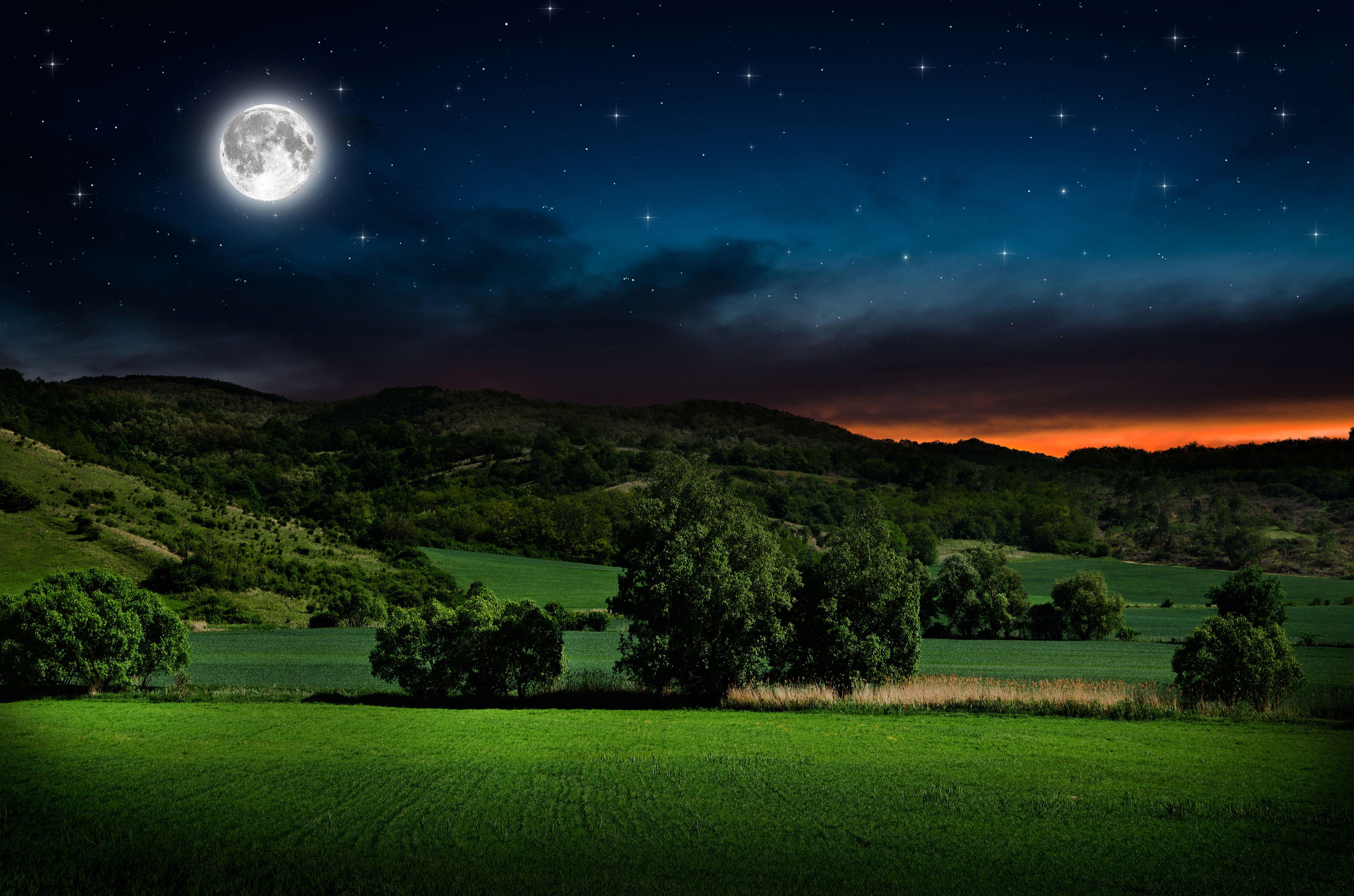 Full Moon and Starry Sky over Green Field 4k Ultra HD Wallpaper