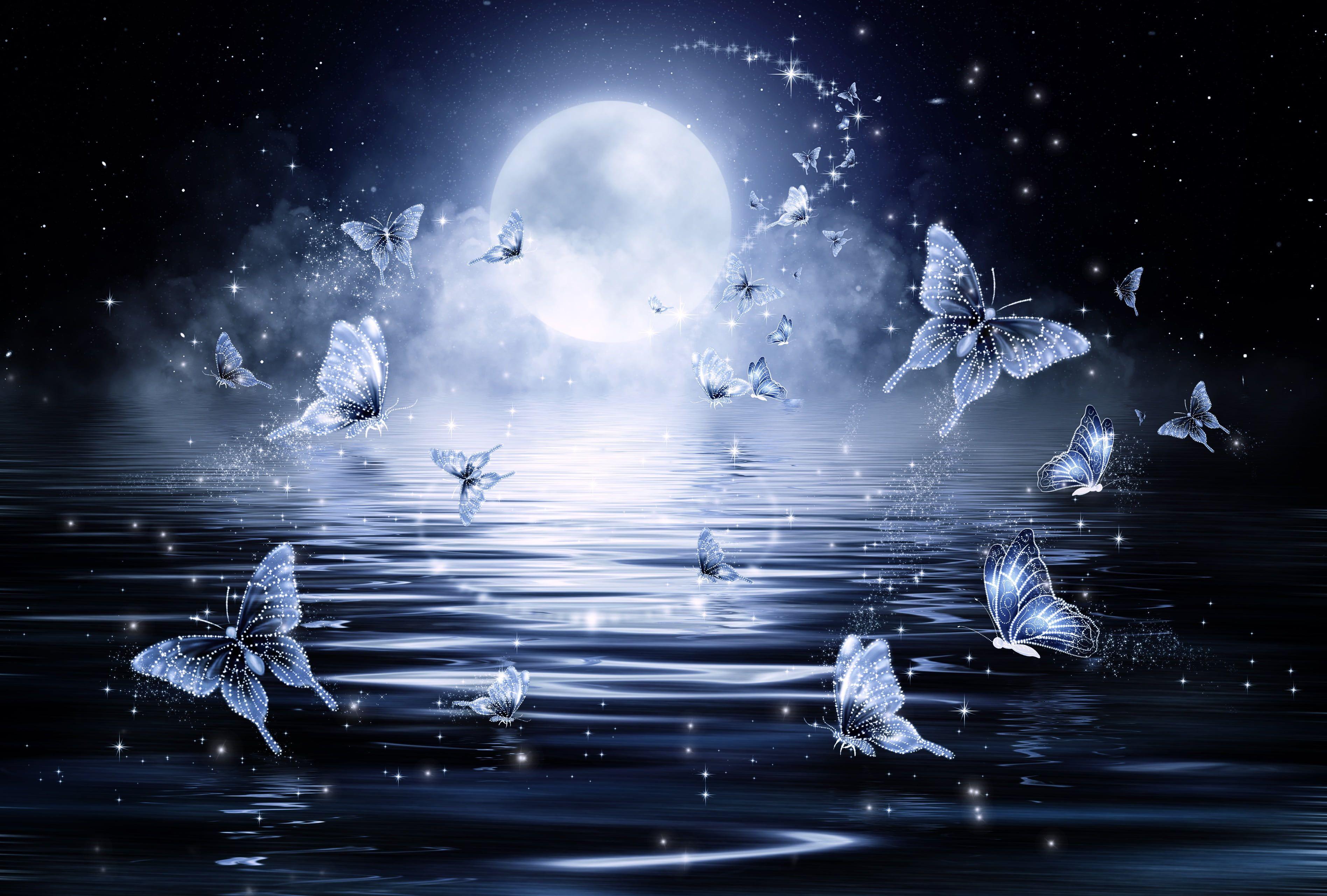 Photo of butterfly flying near body of water during full moon night time HD wallpaper