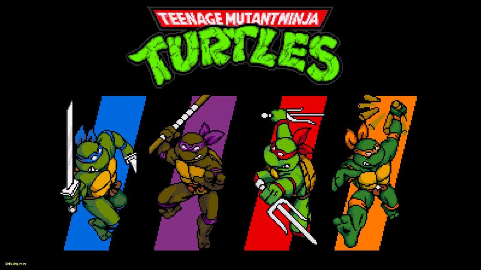 Teenage Mutant Ninja Turtles HD Wallpaper X Lovely Ninja Turtle