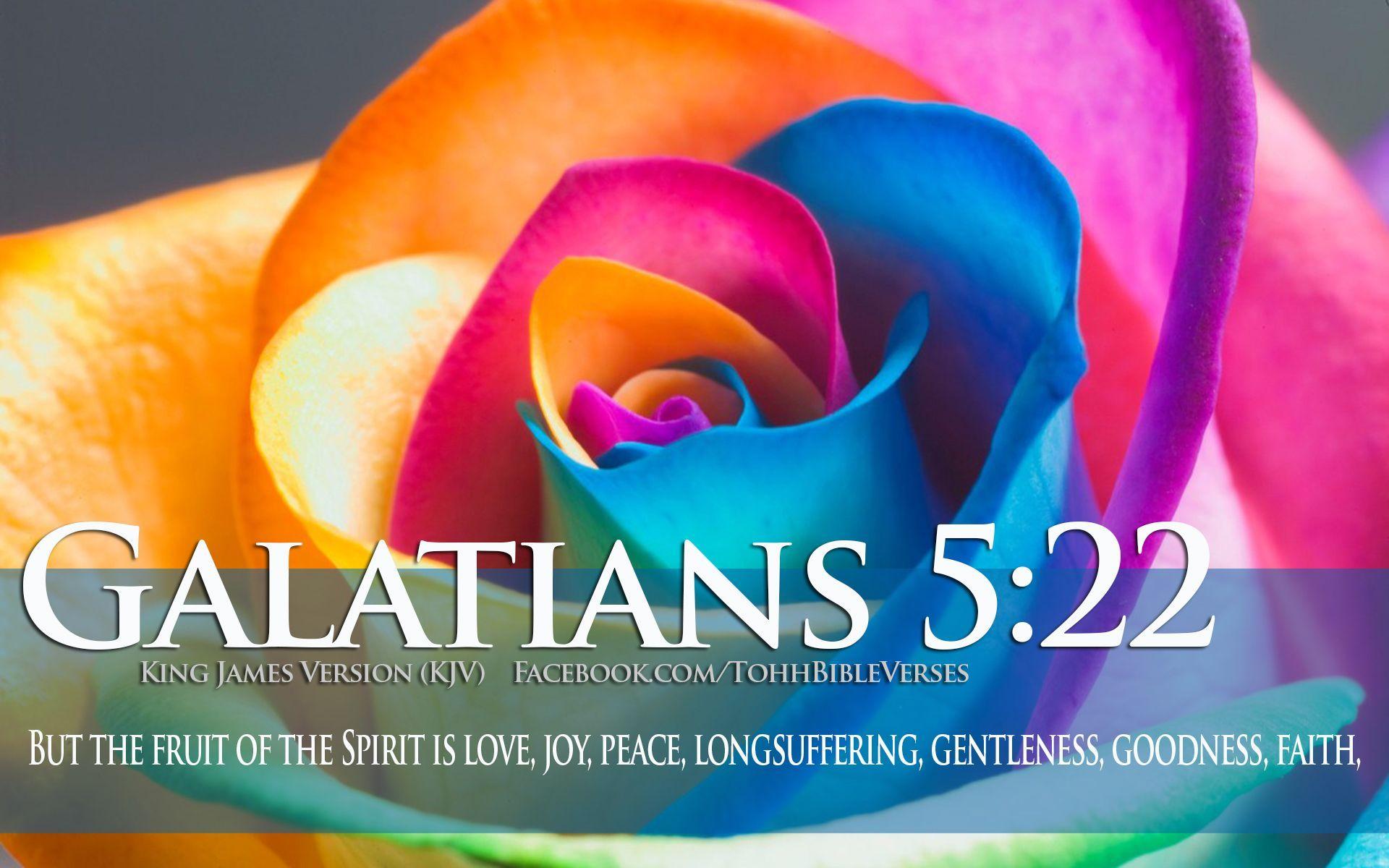 SENIOR MOMENT 4 WOMEN: DAILY SCRIPTURES & PRAISE, 5 29 14. DAILY