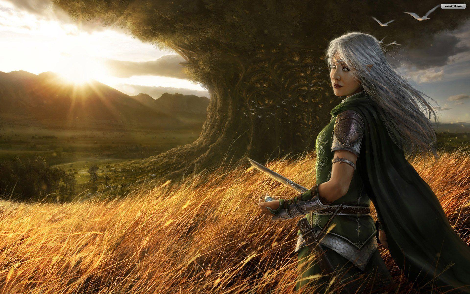 Warriors Image Wallpaper