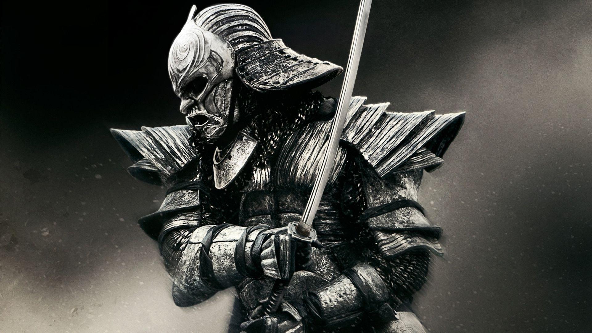 Warrior HD Wallpaper Background Wallpaper. HD Wallpaper