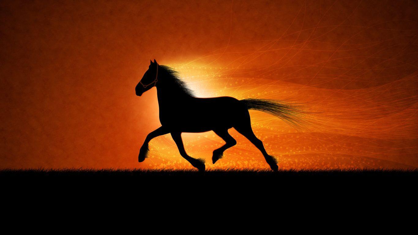 Running horse HD Wallpaper. HD Wallpaper Download