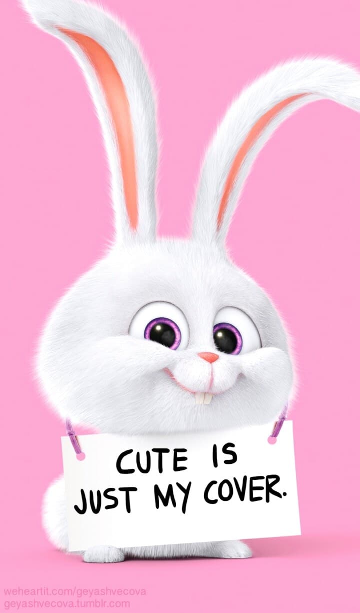 Cute Cartoon Bunny Backgrounds Wallpaper Cave