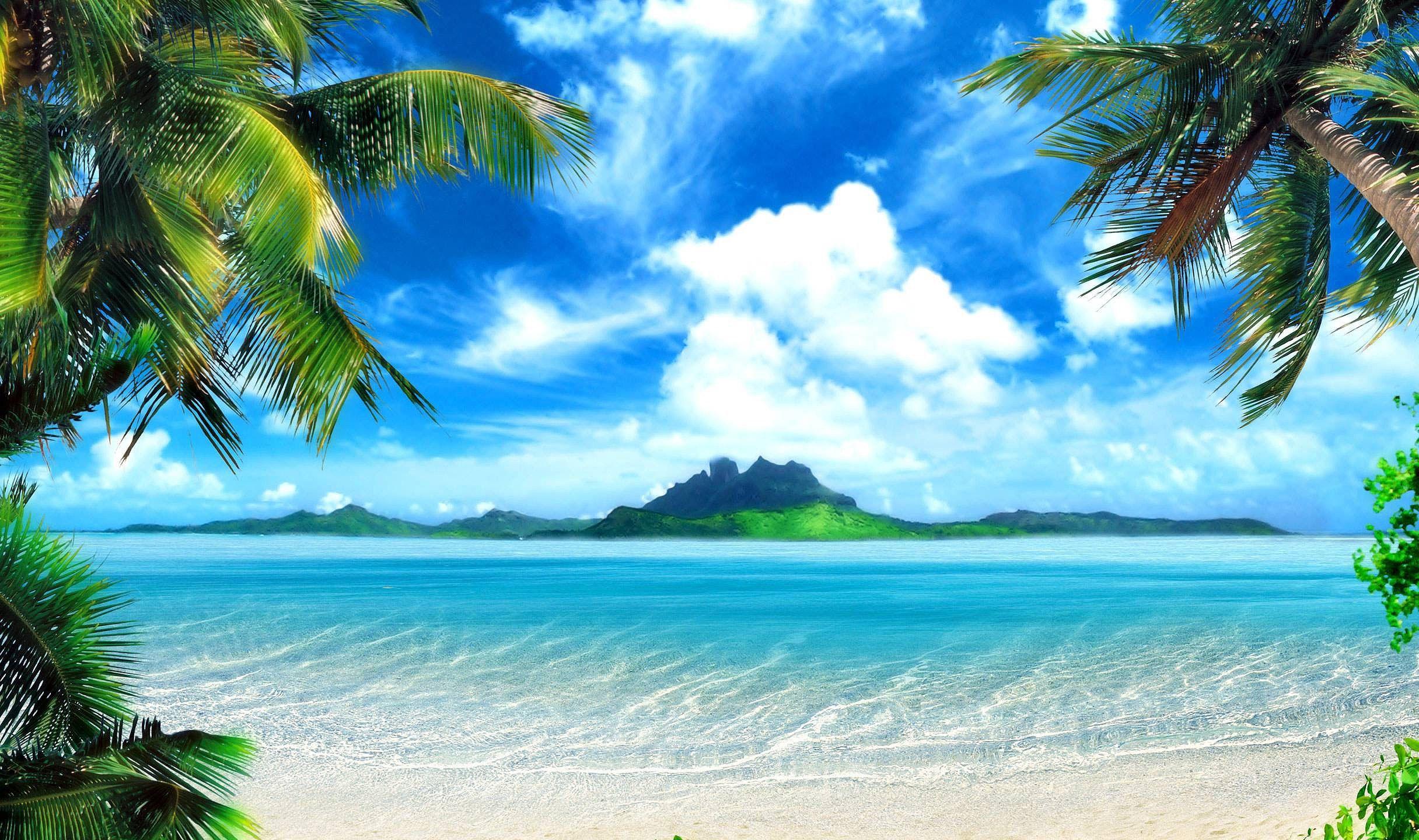 Tropical Background