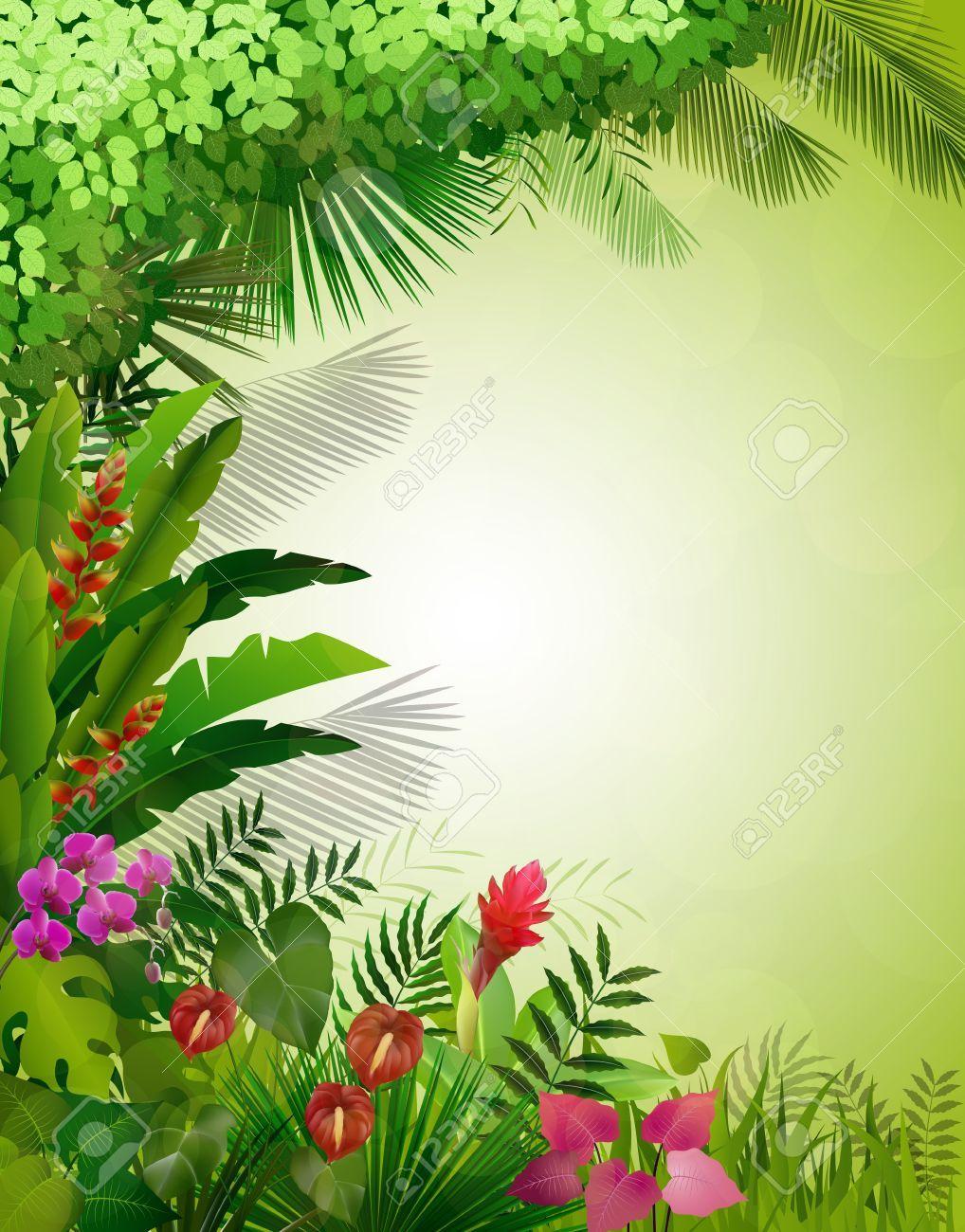 Gallery of Tropical Background: 1018x1300 px, Kristi Neese
