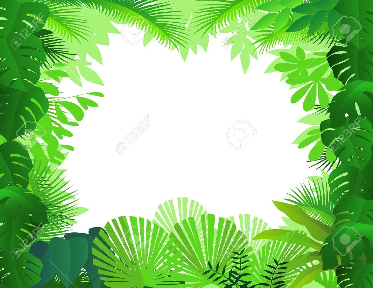Rainforest clipart background and in color rainforest