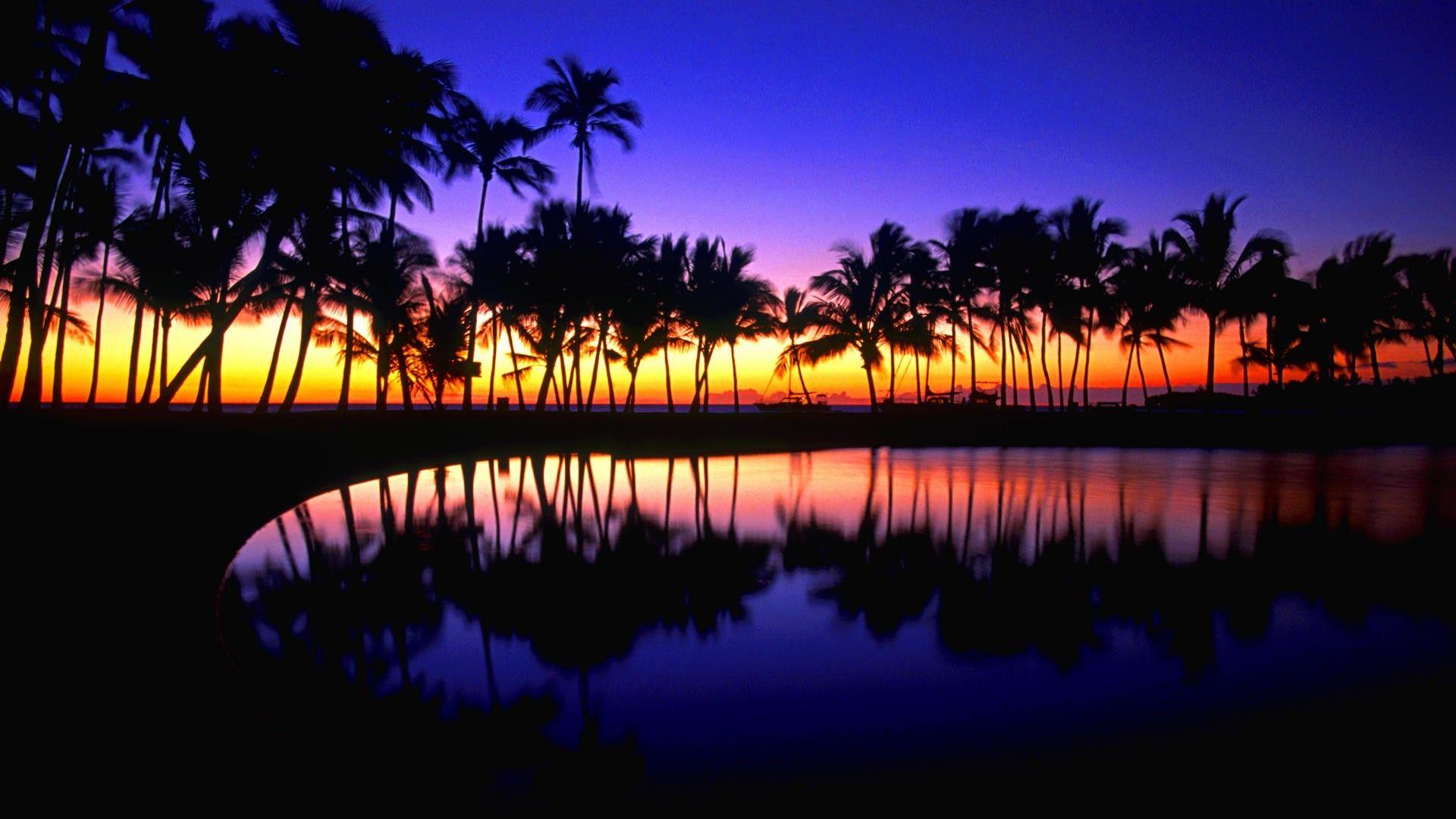 Tropical Background HD