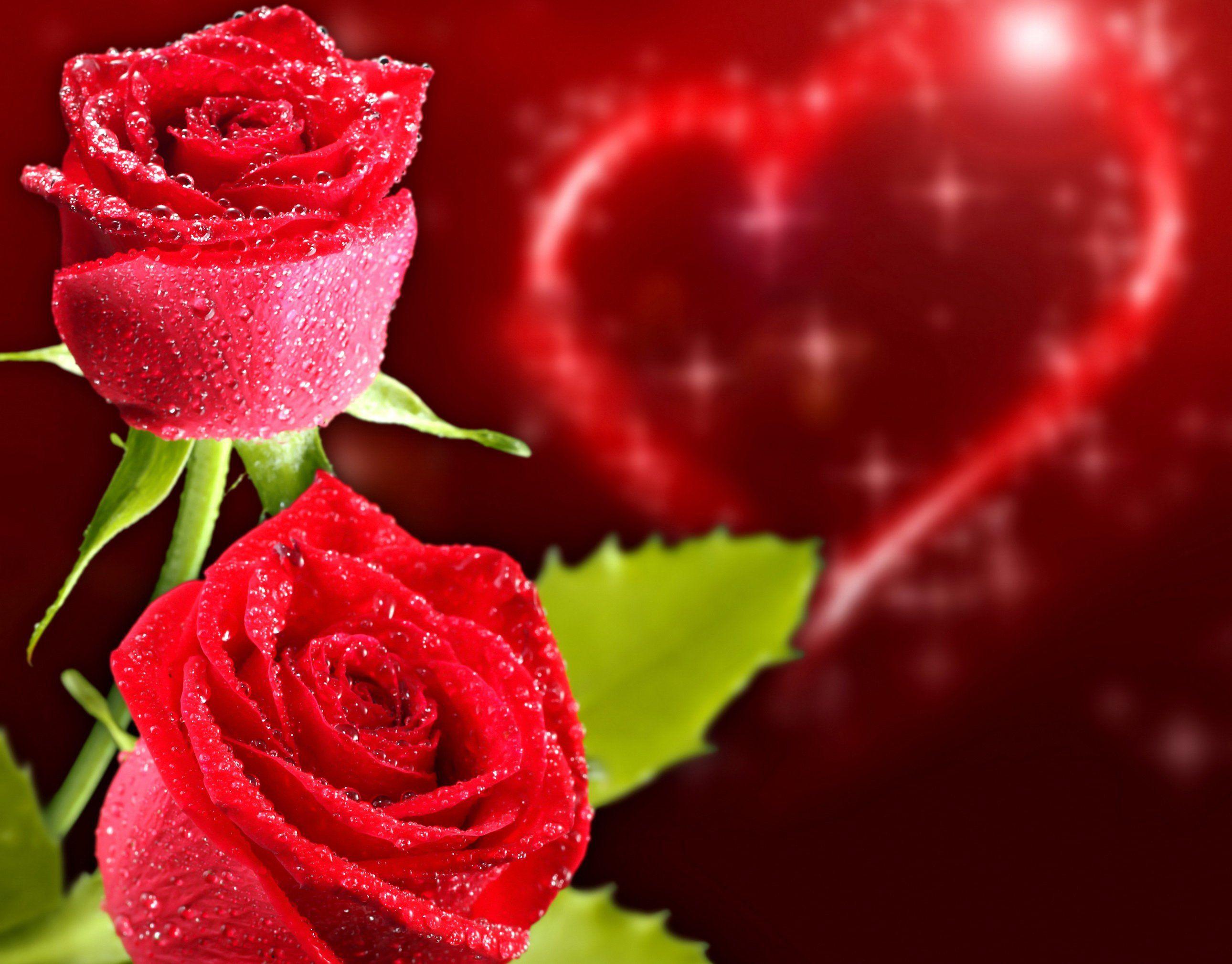 Red Roses and Hearts Wallpaper