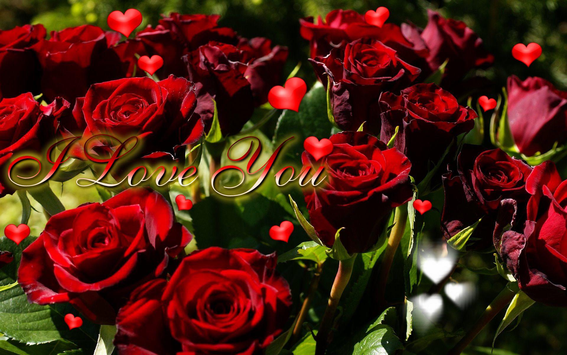 Rosess With I Love U Mom Wallpapers - Wallpaper Cave
