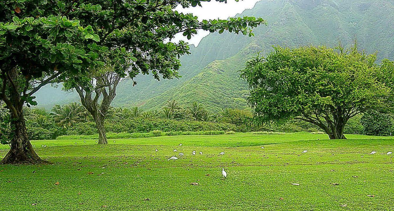 Amazing Nature Background Wallpaper HD 1080P. All HD Wallpaper