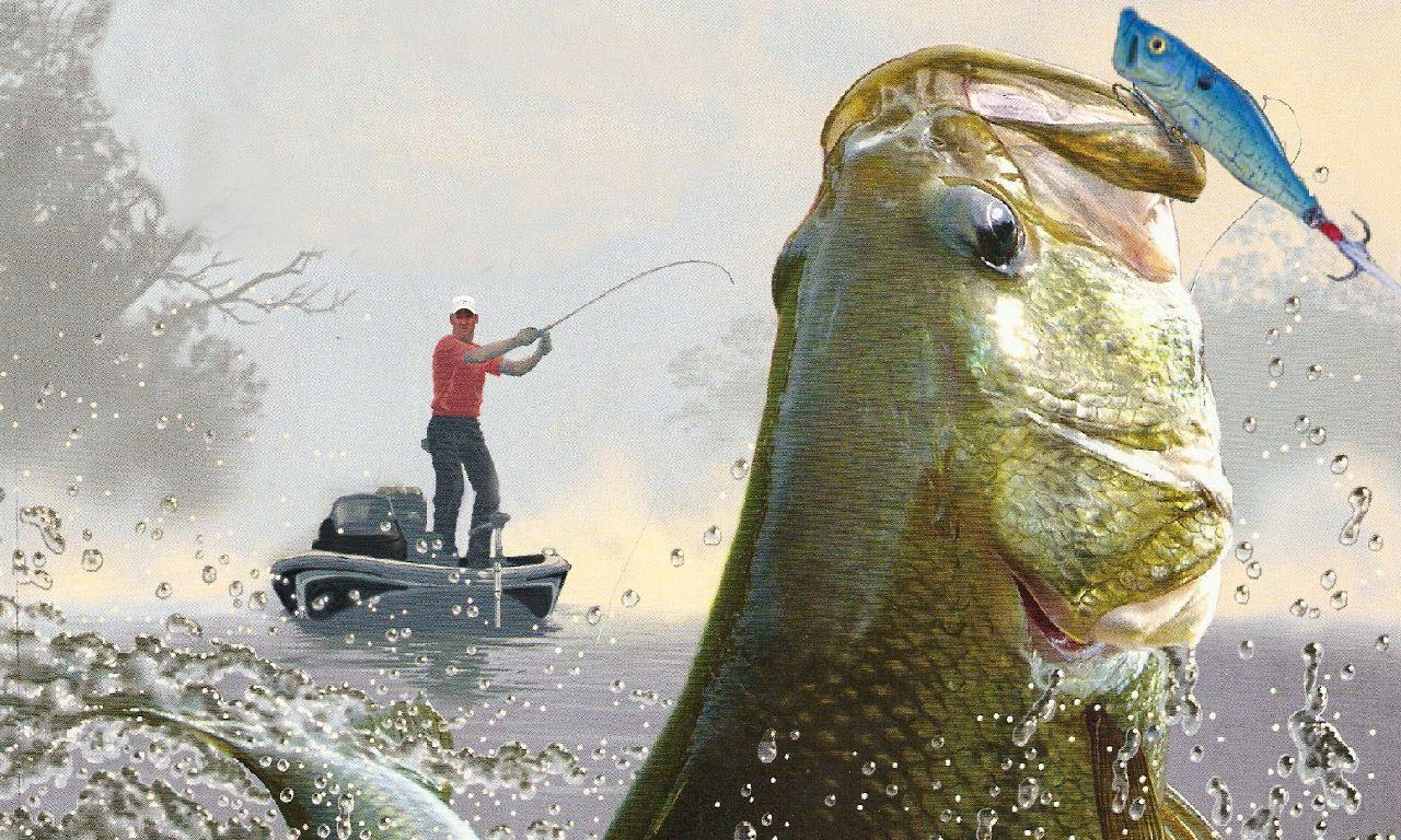 Bass Fishing Wallpaper For iPhone. Roominvite me Wallpaper