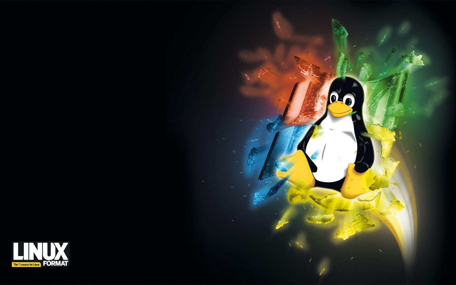 Linux, tux, Microsoft Windows, operating system wars