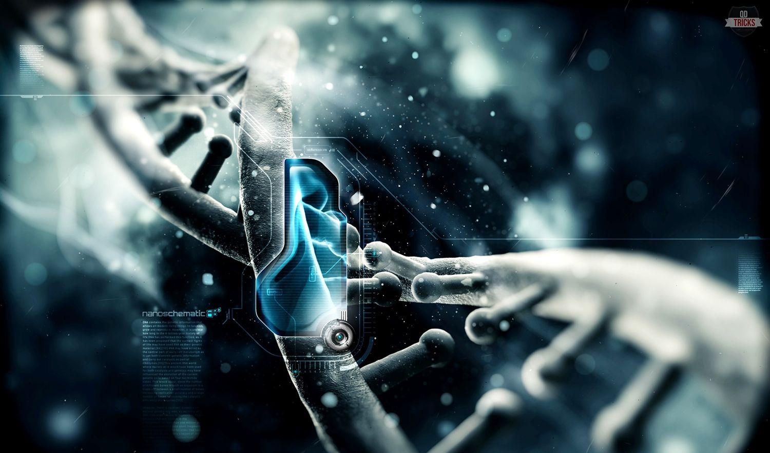 Download Best HD Wallpaper 24A