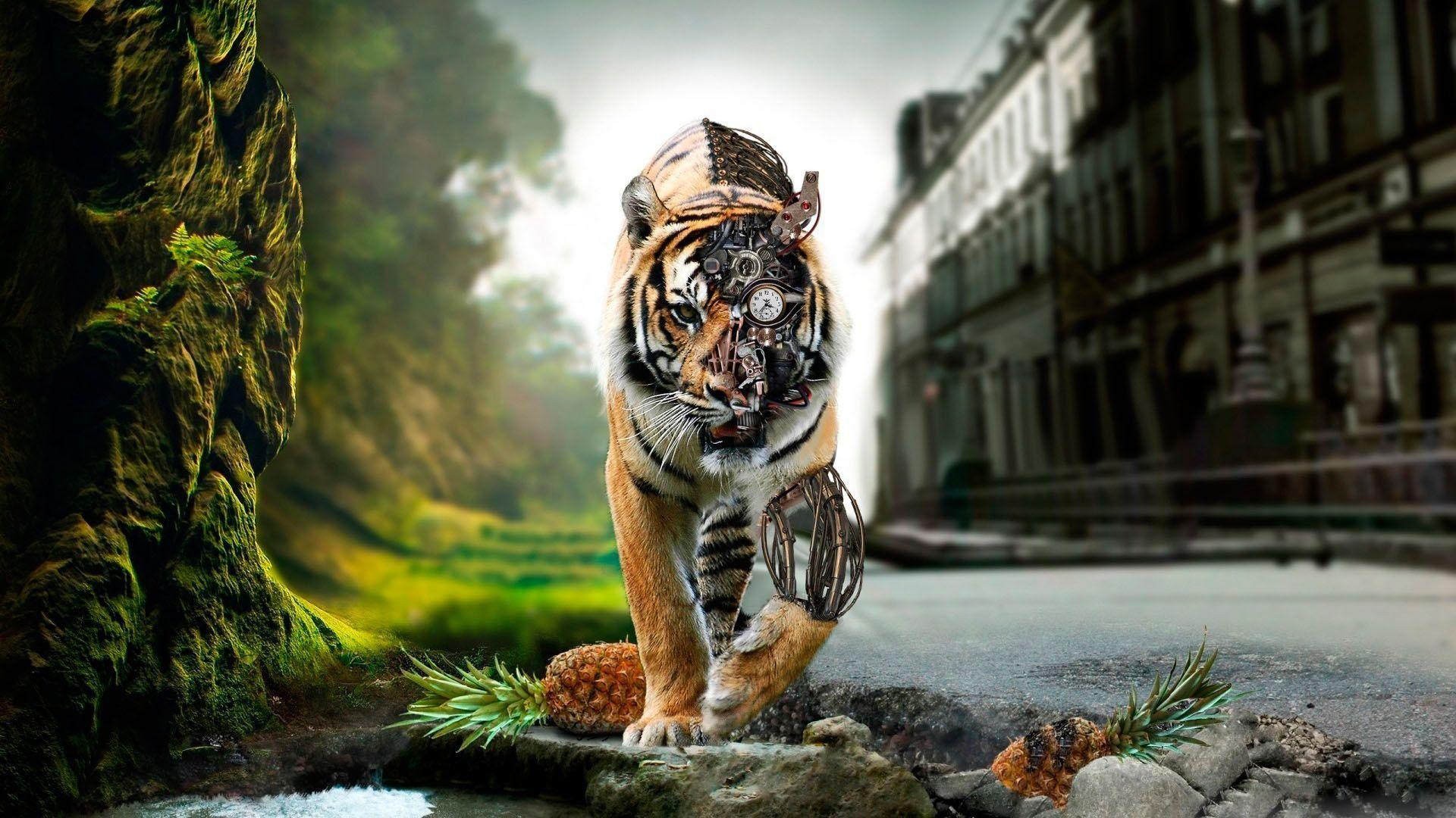 World Best HD Wallpaper Gallery (70 Plus) PIC WPW5014809