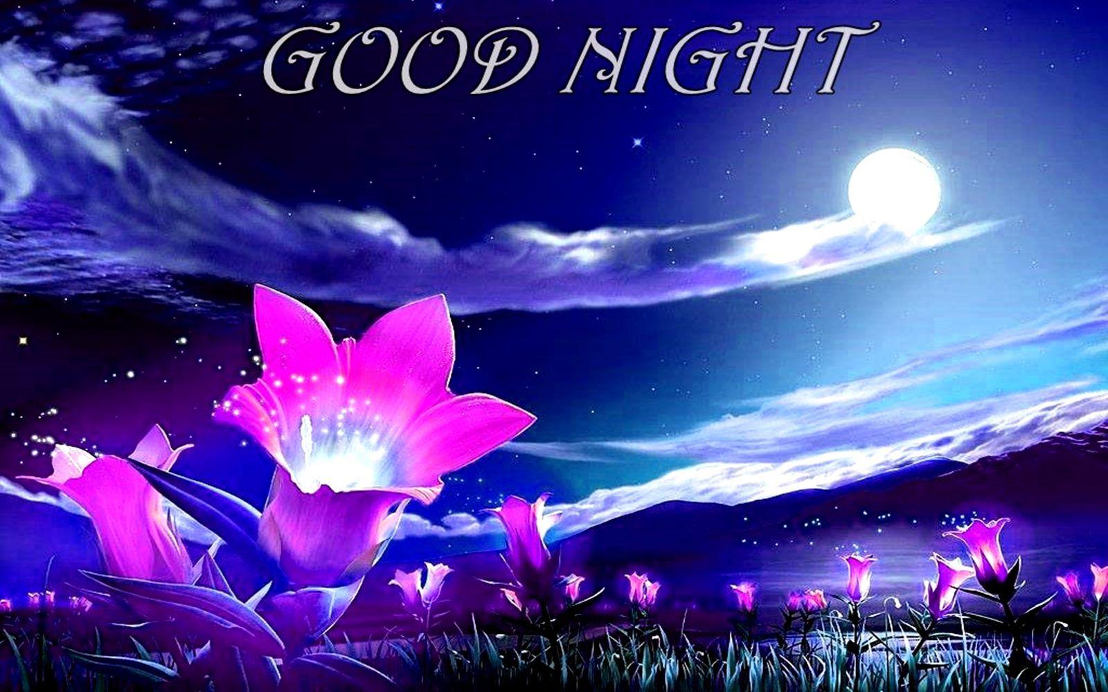 Greetings.Live*Free Daily Greetings Pictures Festival GIF Images: Beautiful- Good-night-HD-image-greetings