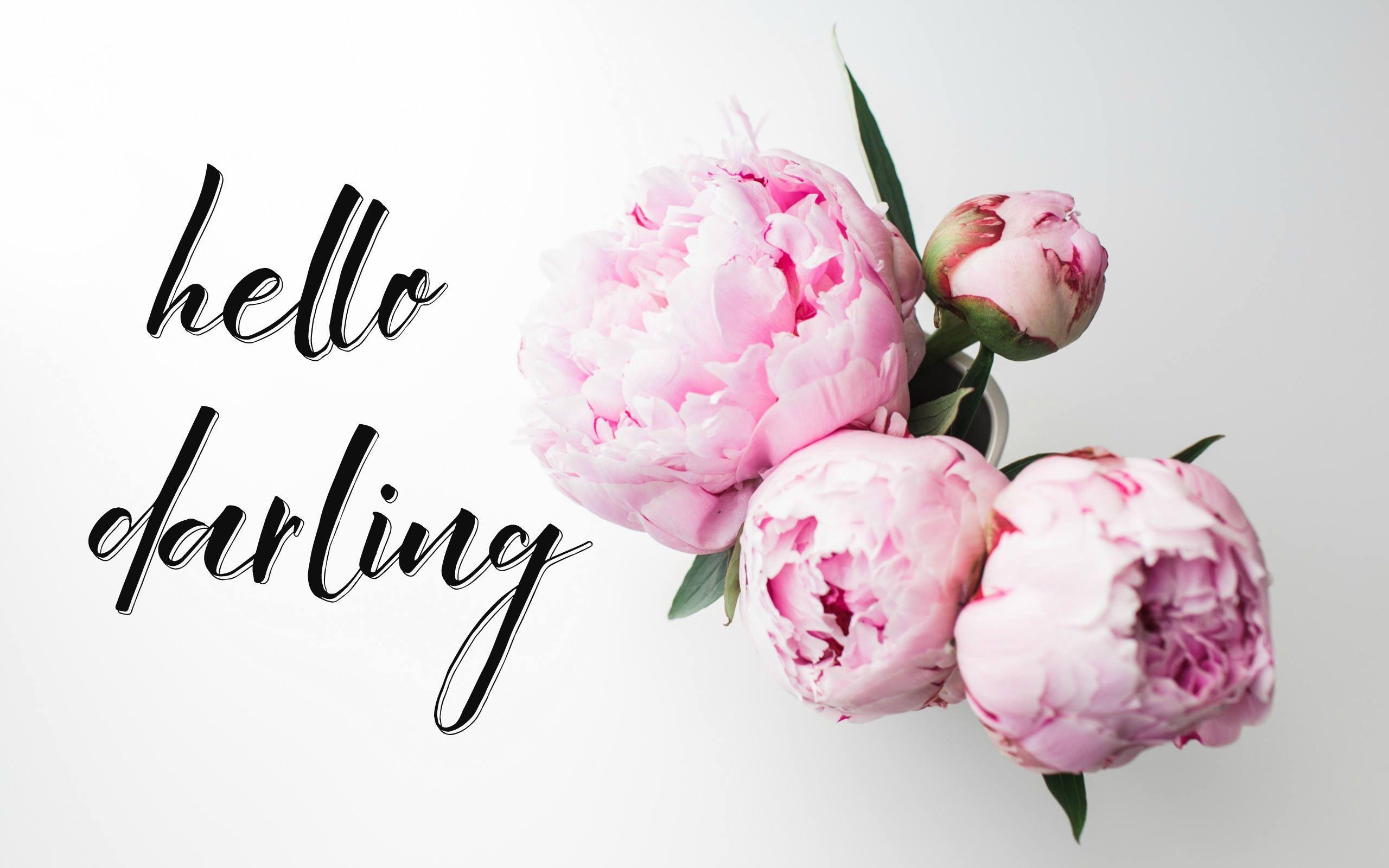 hello darling desktop wallpaper pink peonies floral