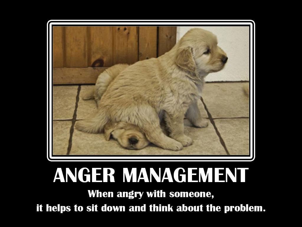 Funny and witty anger quotes