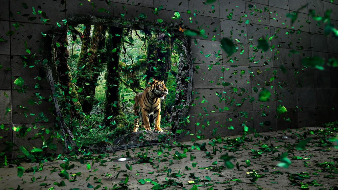 Facebook Covers For Women HD Free Download HD Tiger In House