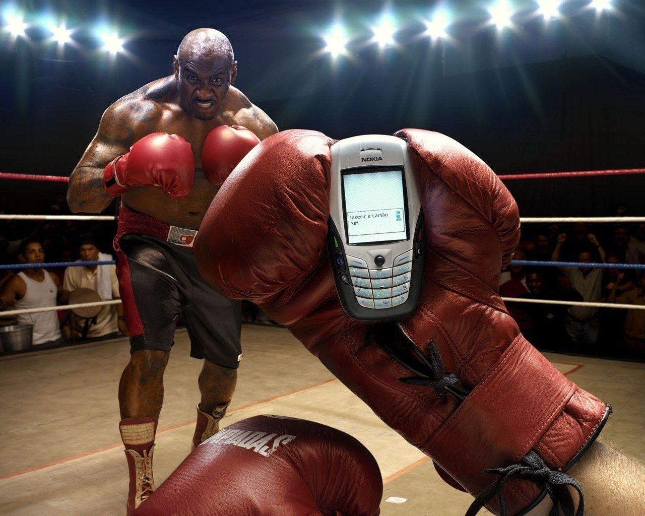 Wallpaper Boxing, Boxer, boxing gloves, phone, fun, humor desktop