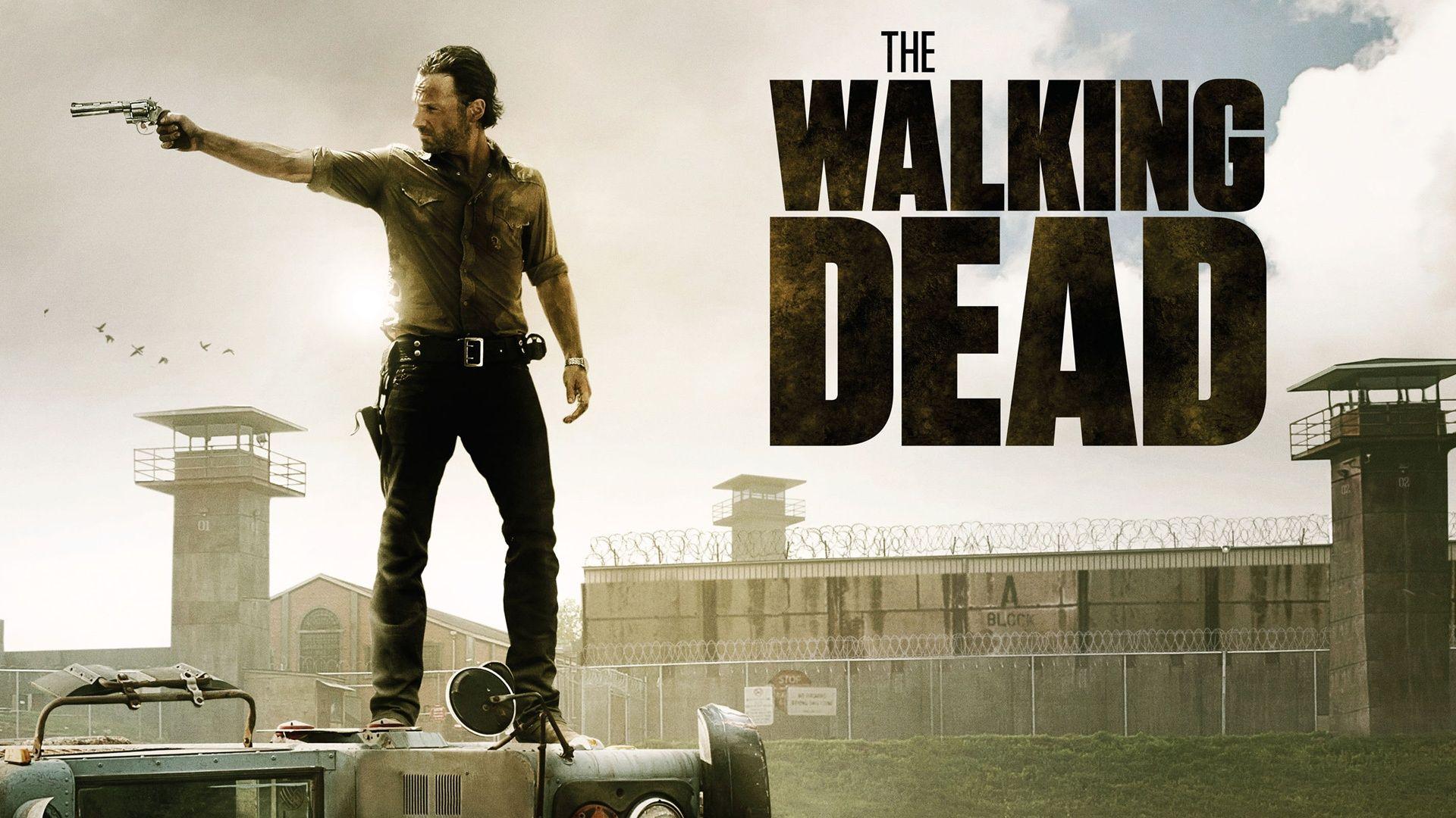 The Walking Dead 2013 wallpaper. movies and tv series. Wallpaper