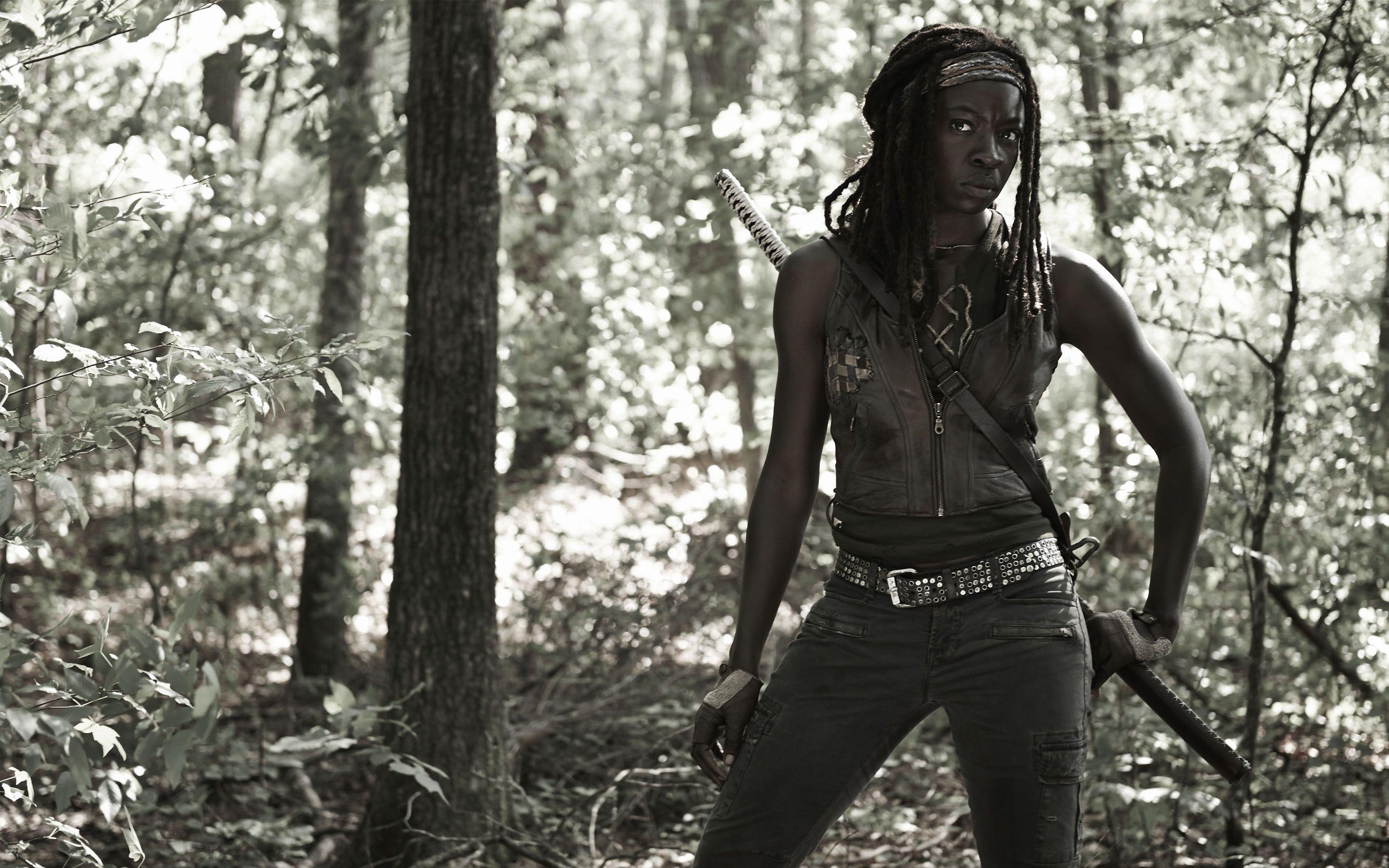 Wallpaper Michonne HD 1080p The Walking Dead. The Walking Dead