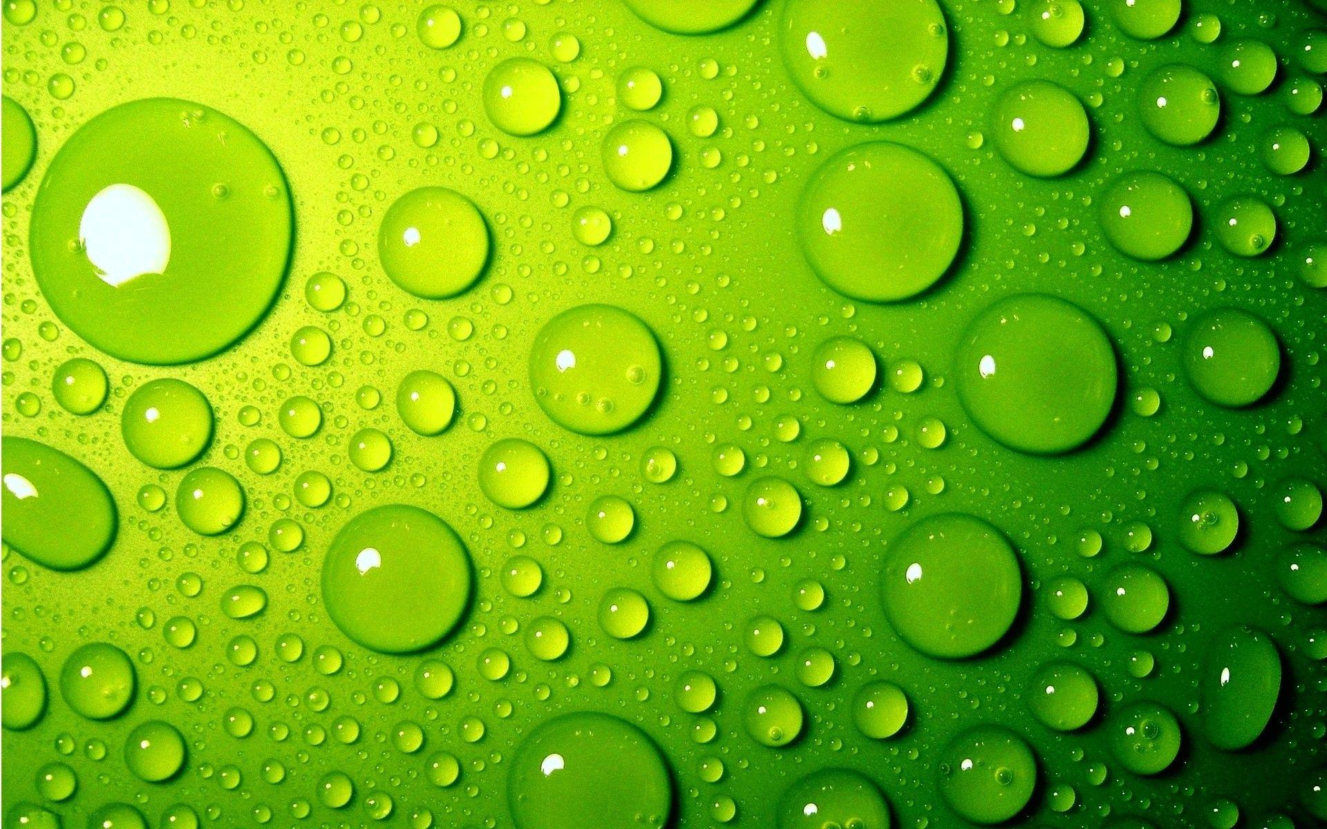 Green Water Drops Full HD Desktop Wallpaper HD Wallpaper