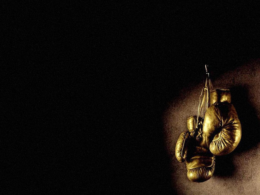 Boxing Gloves HD Wallpaper, Background Image
