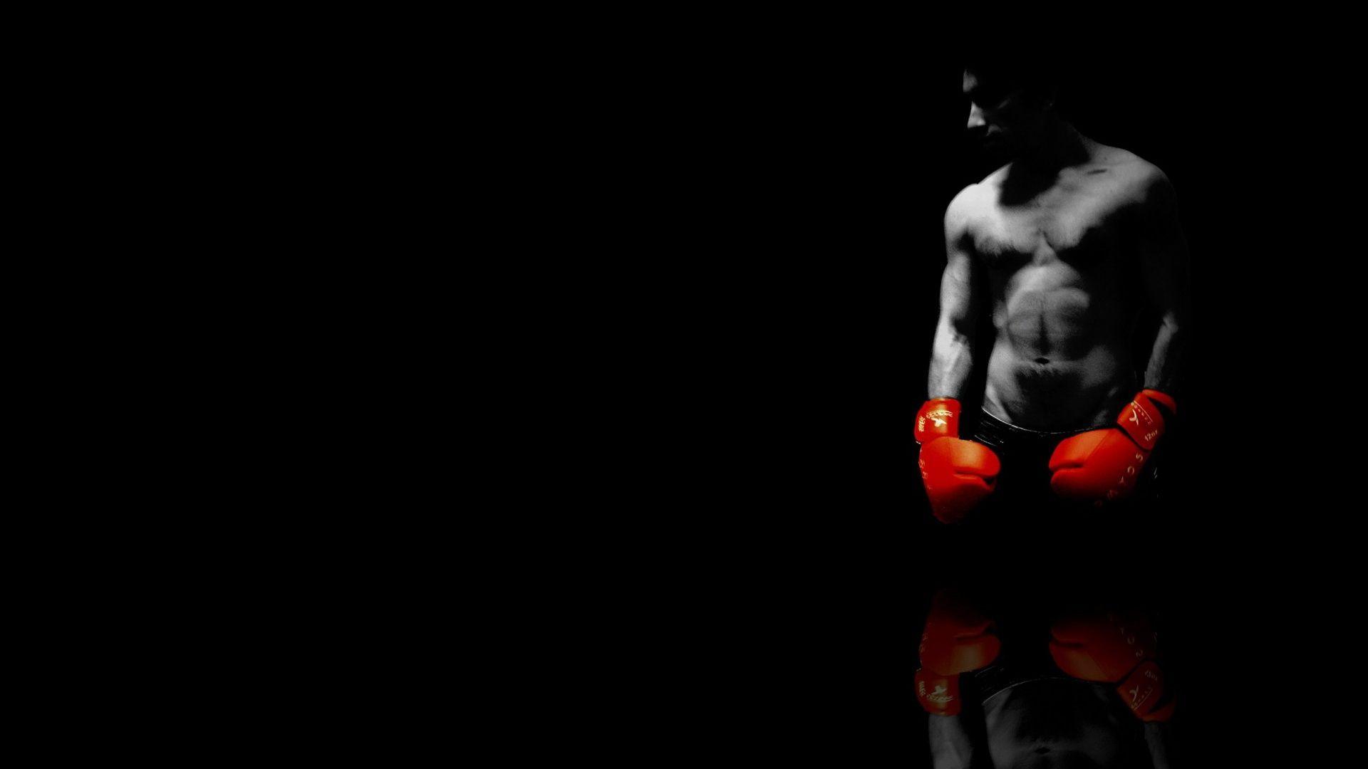 Free Boxing Gloves Photo