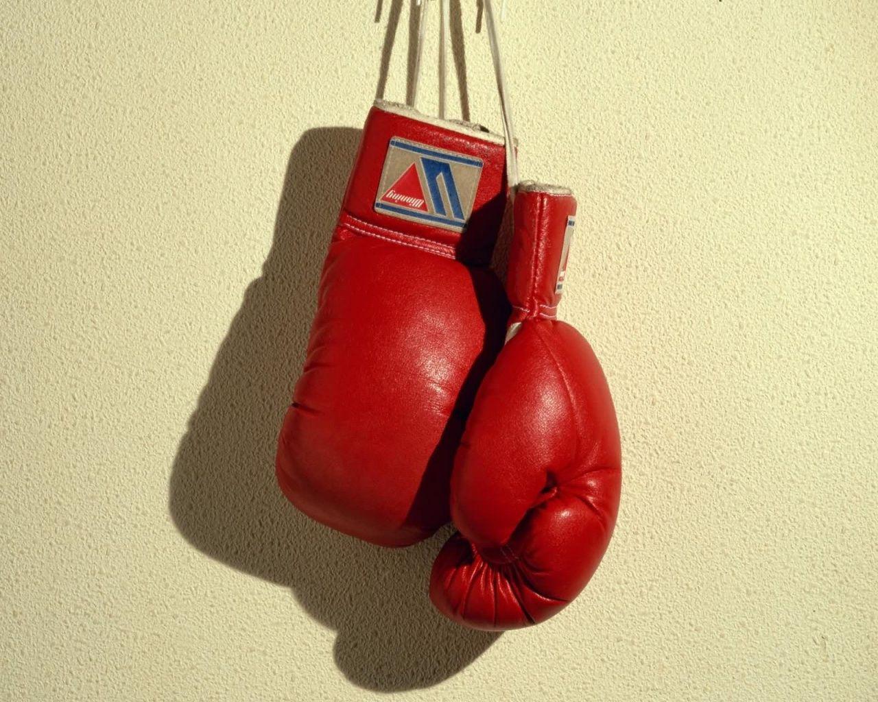 Training Boxing Gloves Wallpaper, Training Boxing Gloves