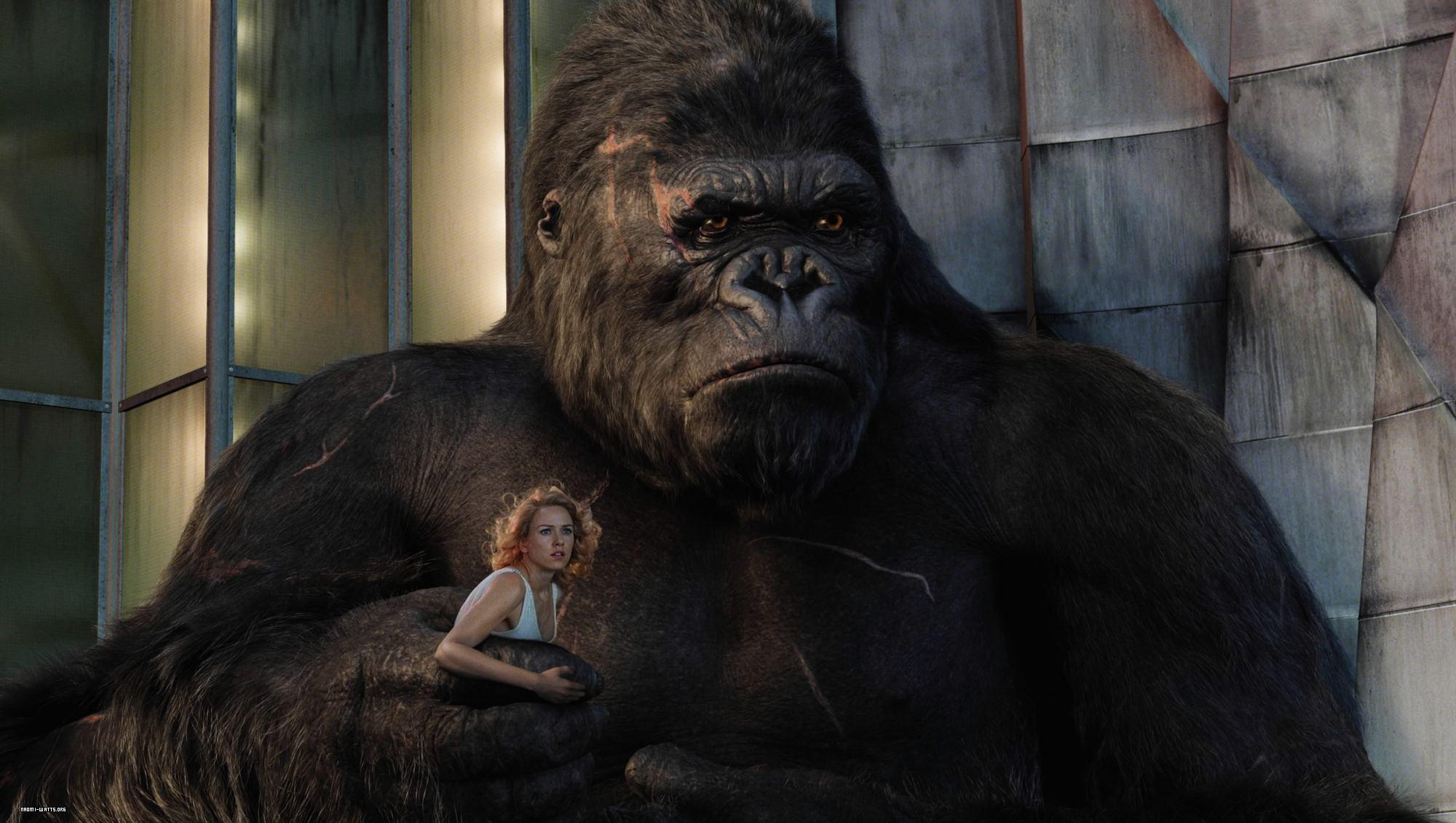 King Kong (2005) Full HD Wallpaper and Background Imagex1130
