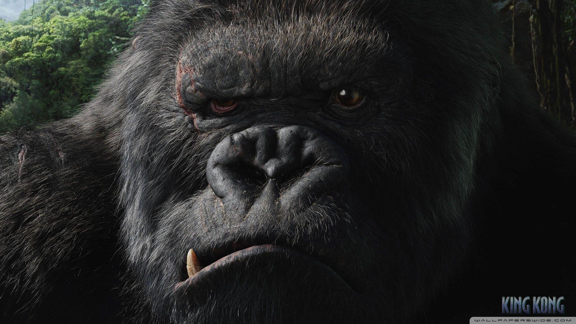 King Kong 2 ❤ 4K HD Desktop Wallpaper for 4K Ultra HD TV • Wide